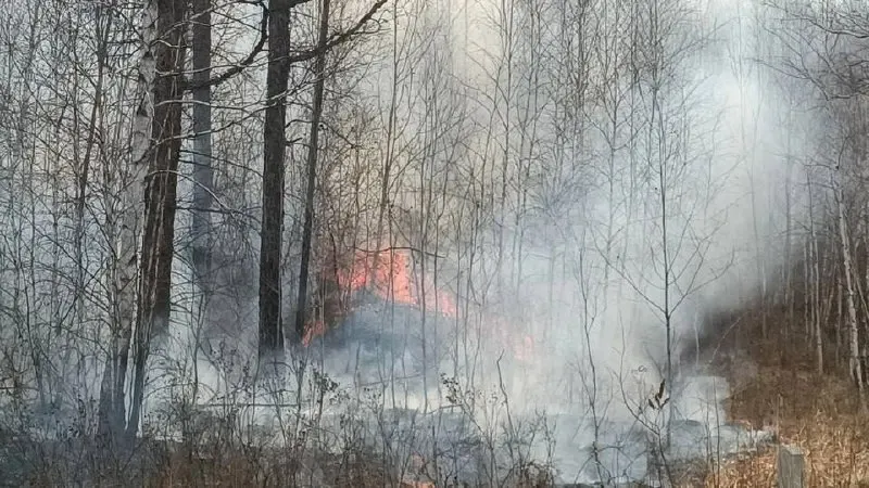 С 26 по 28 июня в регионе зафиксировали 13 лесных пожаров — огонь прошёл свыше 32 гектаров. В ликвидации участвовали 260 человек и 76 автоцистерн; преимущественная причина — грозы.
