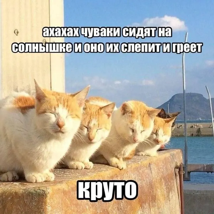 23 июня ожидается прохладный старт с дождём утром, затем с 24–25 июня в Иркутске потеплеет и станет сухо. По области местами воздух прогреется до +32°.