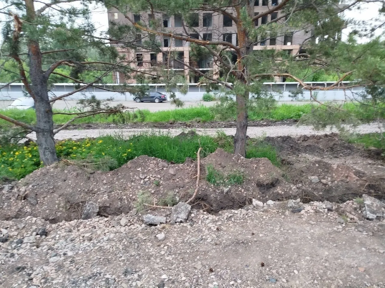 При благоустройстве набережной рабочие выкопали траншею по корням здоровых деревьев. В администрации заявили о штрафе для подрядчика и наблюдении за состоянием зелёных насаждений.