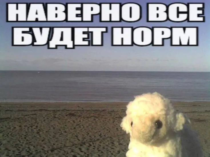 Весна в регионе оказалась в среднем почти на 1° холоднее нормы, с резкими суточными перепадами и повышенной влажностью. Причина — чередование тёплых субтропических потоков и арктических вторжений. По предварительному прогнозу, начало лета будет не очень тёплым, а в отдельных районах — относительно засушливым.