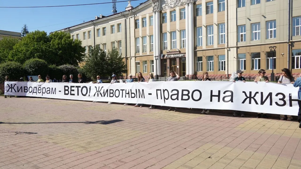 Активисты требуют внести изменения в региональный закон, который допускает умерщвление бездомных собак в «экстраординарных ситуациях», и настаивают на сохранении гуманных методов контроля популяции.