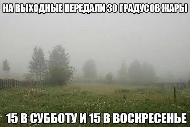 Академик РАН Владимир Клименко прогнозирует в целом лето близкое к климатической норме: в центре — чуть теплее, на юге — риск засухи, а самые сильные аномалии тепла ожидаются в северных и приполярных районах.