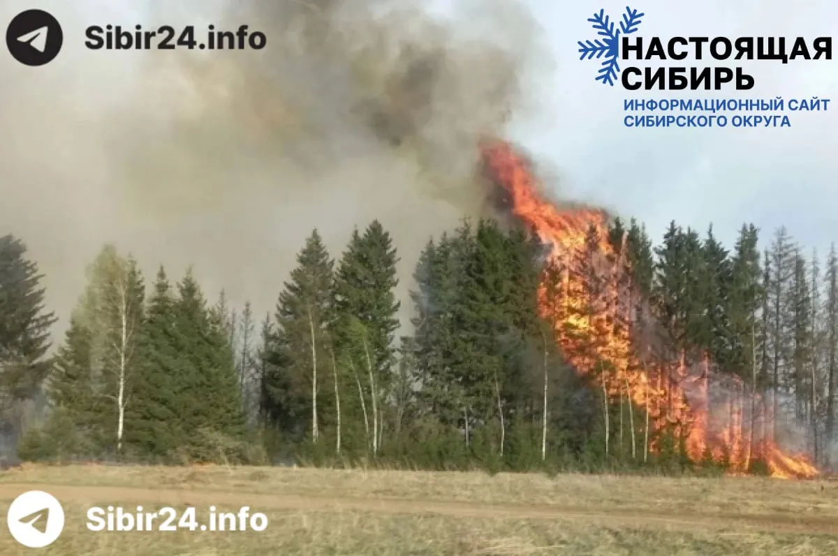 В регионе зарегистрировано 91 лесной пожар, пострадало свыше 3 тыс. га леса. В Верхнекетском районе действует режим чрезвычайной ситуации — там горит более 1,8 тыс. га.