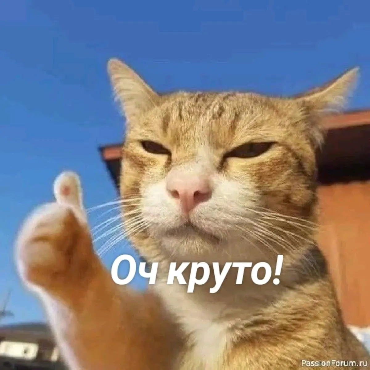 Летнего повышения цен не будет: пока действуют действующие ставки для городских и сельских потребителей, соцнорма — 65 кВт·ч на человека.