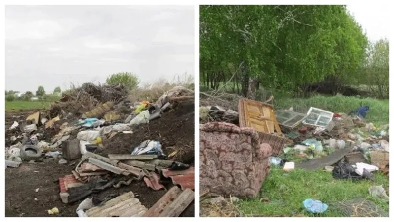 Возле станции Смазнево в Заринском районе Алтайского края нашли несанкционированную свалку. В пробах почвы выявлено превышение меди, свинца и цинка, собственнику грозит предписание об устранении нарушений.