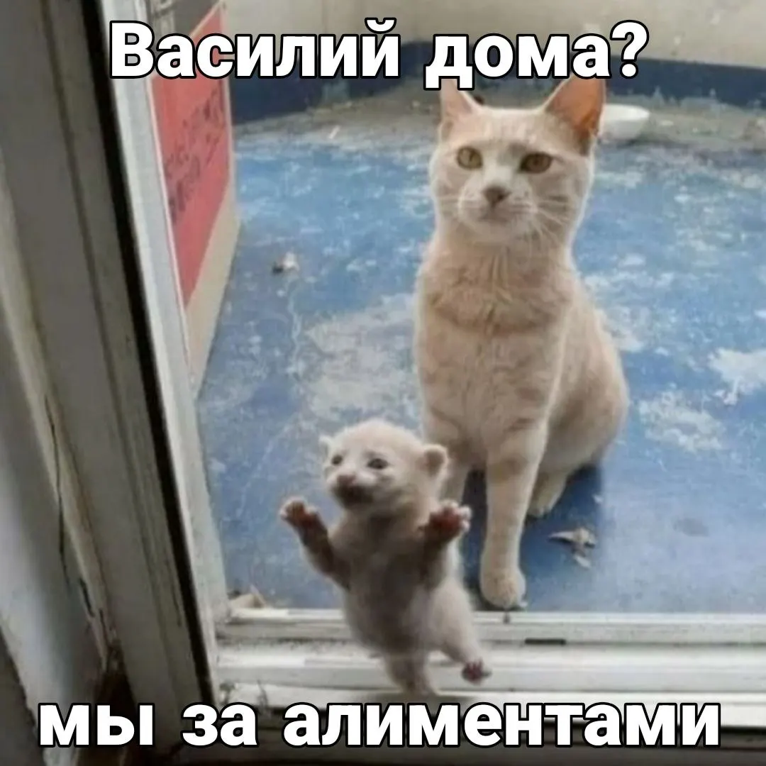 Заместитель руководителя управления ФССП по Красноярскому краю Лилия Добрынина сообщила, что сумма, которую приставы взыскивают с алиментщиков, увеличивается: в прошлом году в пользу детей было взыскано 3,5 млрд рублей, в текущем — уже 1,5 млрд; при сохранении темпов к концу года ожидается 5 млрд.