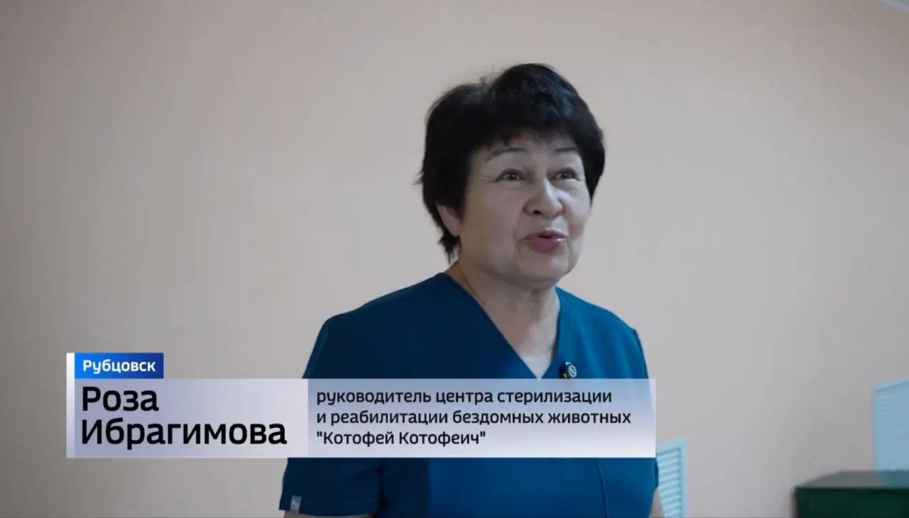 Супруги Роза и Хамит Ибрагимовы в 2018 году создали центр льготной стерилизации и реабилитации «Котофей Котофеич». Помещение площадью почти 450 м² оборудовали при поддержке волонтёров, горожан и за счёт гранта.