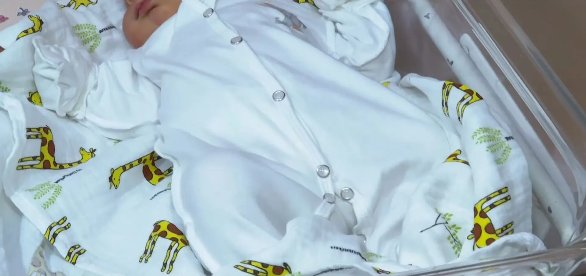 Популярные и&nbsp;необычные имена новорождённых в&nbsp;Алтайском крае в&nbsp;мае