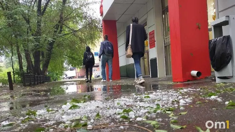 С 18 по 20 июня синоптики прогнозируют ухудшение погоды в Омской области: кратковременные дожди, грозы, местами град и порывы ветра до 15–20 м/с. МЧС просит соблюдать осторожность.