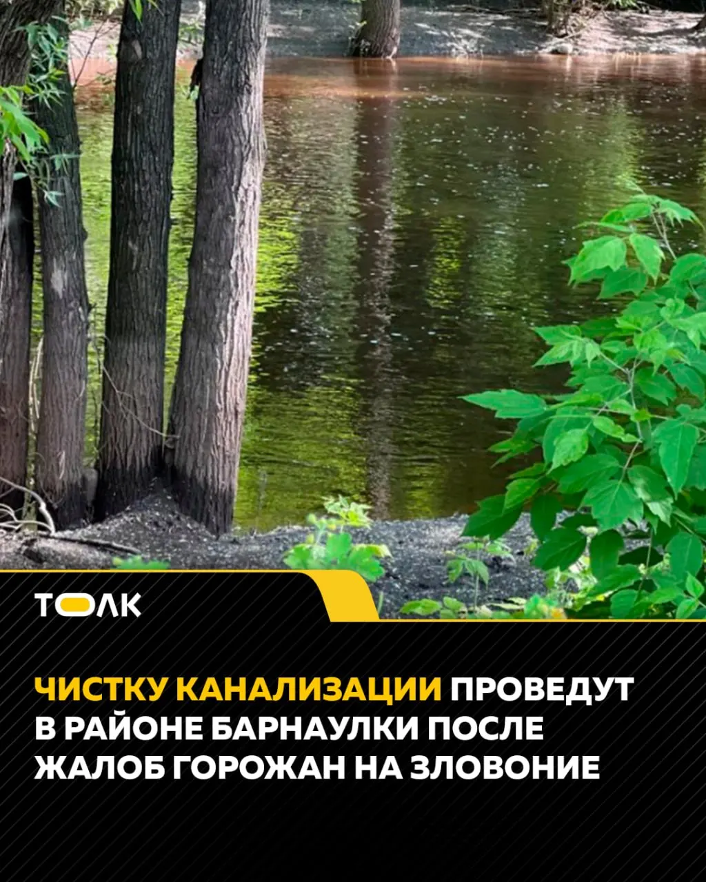 Жители пожаловались на неприятный запах в районе реки Барнаулки возле парка Центральный. Специалисты обследовали сети и 10 июня проведут профилактическую чистку и герметизацию колодцев; возможно временное усиление запаха в ходе работ.