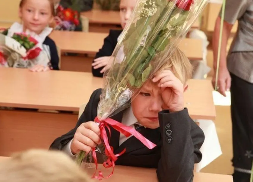 Заместитель министра просвещения сообщил, что 11 лет — оптимальная продолжительность обучения; ни сокращать, ни увеличивать её сейчас не планируют, а все стандарты будут выстраиваться с расчётом на 11 классов.