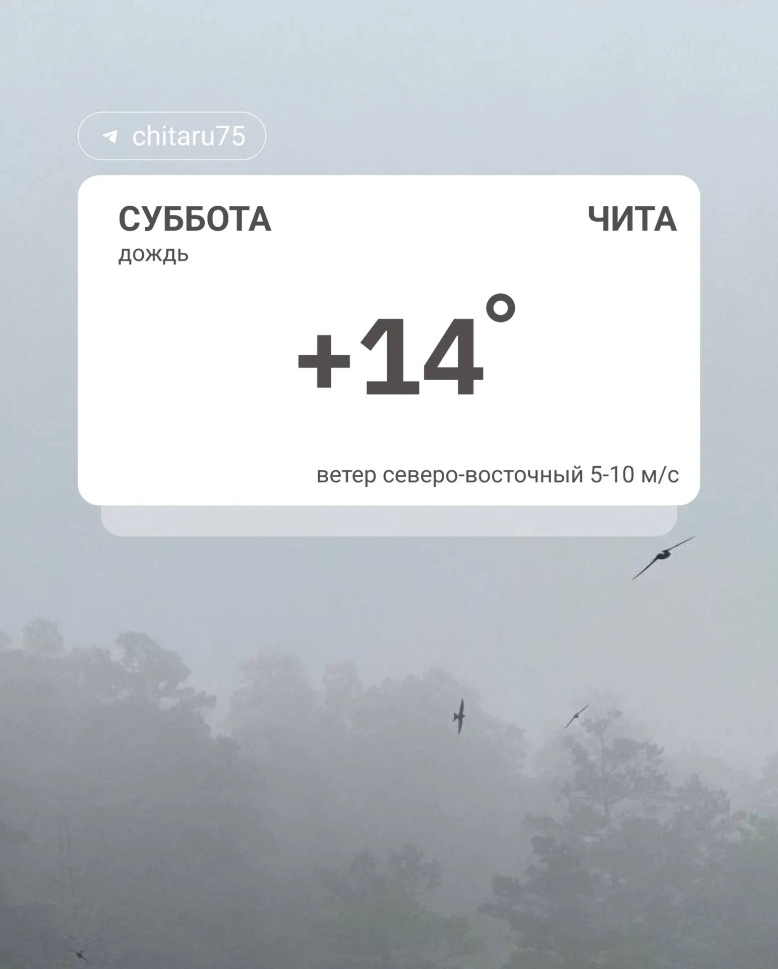 Ночью в Чите температура держалась на +6…+8 °C, по краю — до +11 °C. Днём в отдельных районах ожидается потепление до +18…+23 °C; в западных районах будет прохладнее — около +8…+13 °C.