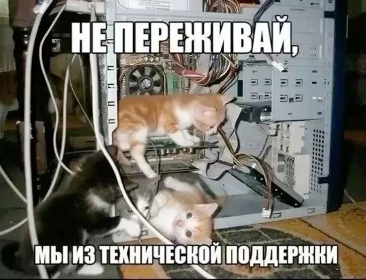 Жители Ленинского округа сообщают о массовых перебоях с электроэнергией: от бульвара Победы до площади Серова не работают кондиционеры и светофоры, остановлено движение трамваев и троллейбусов. В энергокомпании обещали восстановить подачу к 18:00.