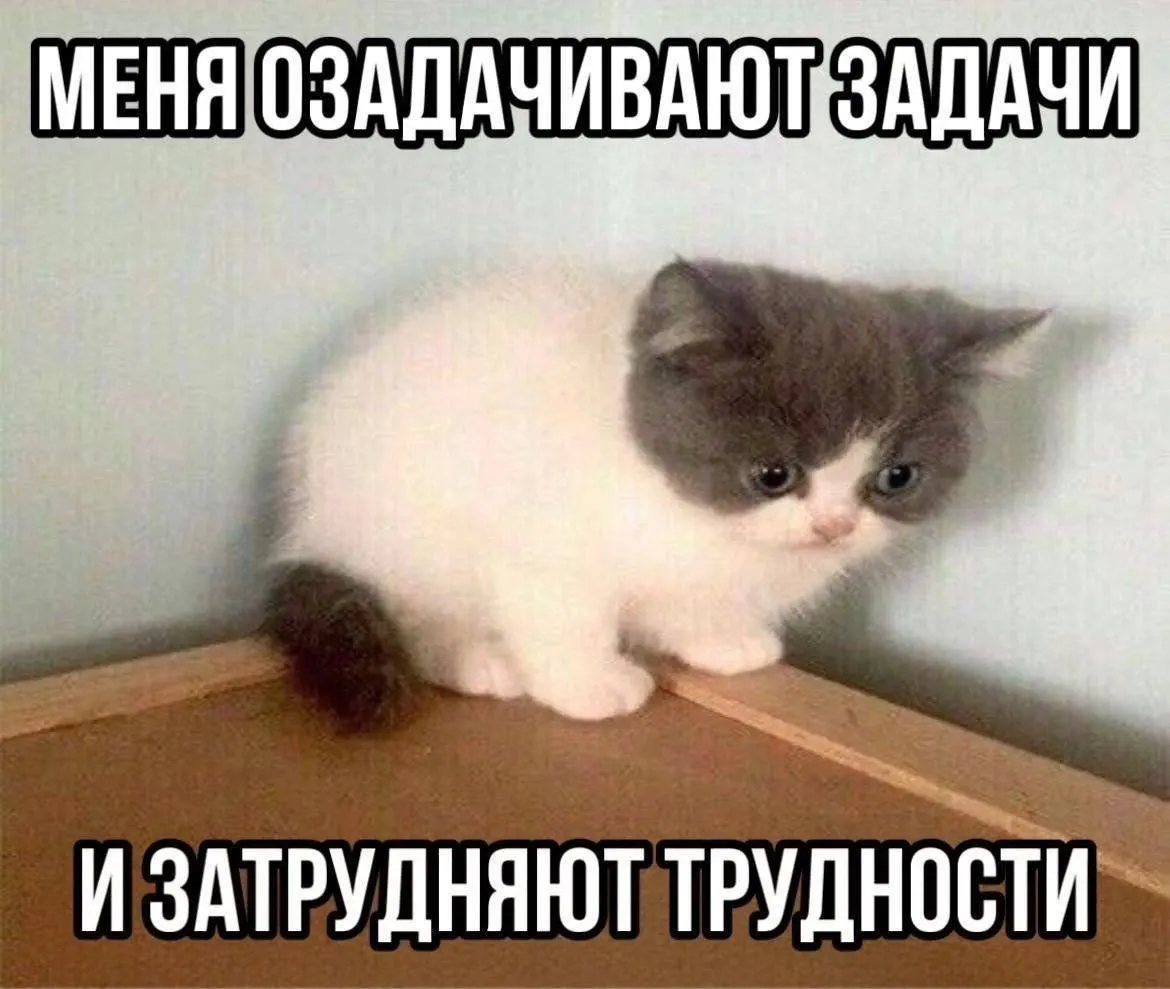 Минфин региона объявил 11 аукционов на кредиты сроком на год со ставкой от 18% для покрытия дефицита и погашения долгов. Государственный долг региона превысил 97 млрд рублей.