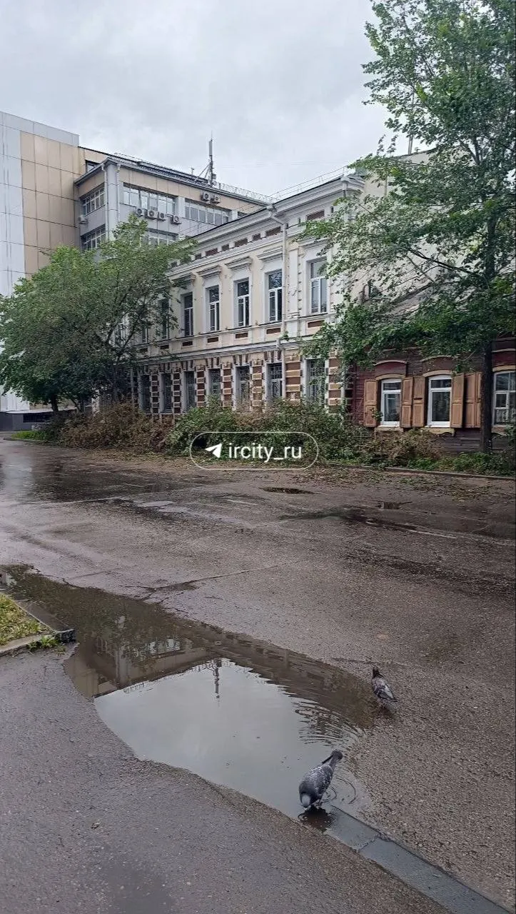 На улице Марата в Иркутске снесли ряд яблонь: мэрия сообщает о прогнивших стволах и планах высадить вместо них тополя.