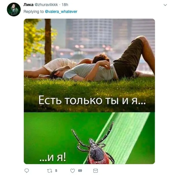 С начала сезона за медицинской помощью обратились 5 997 человек: 1 515 — в Барнауле. У 147 пациентов есть подозрение на сибирский клещевой тиф; в снятых клещах выявлены боррелии и вирусы клещевого энцефалита. Всем обратившимся назначено профилактическое лечение.