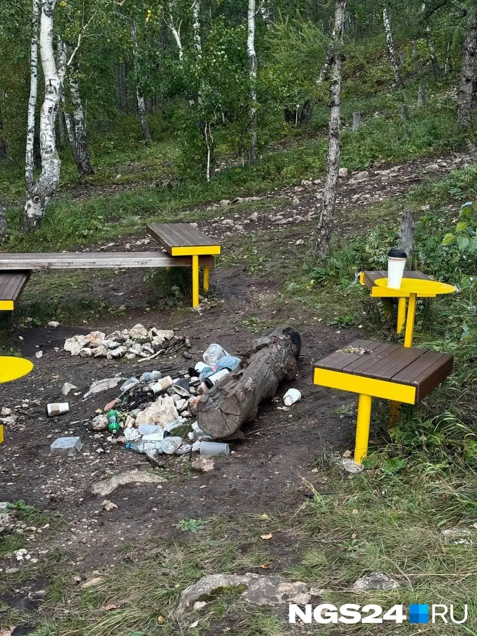 Лавочки, беседки и информационные стенды повредили и даже подожгли. Работы по восстановлению займут около двух недель при хорошей погоде; камеры поставить пока нельзя.