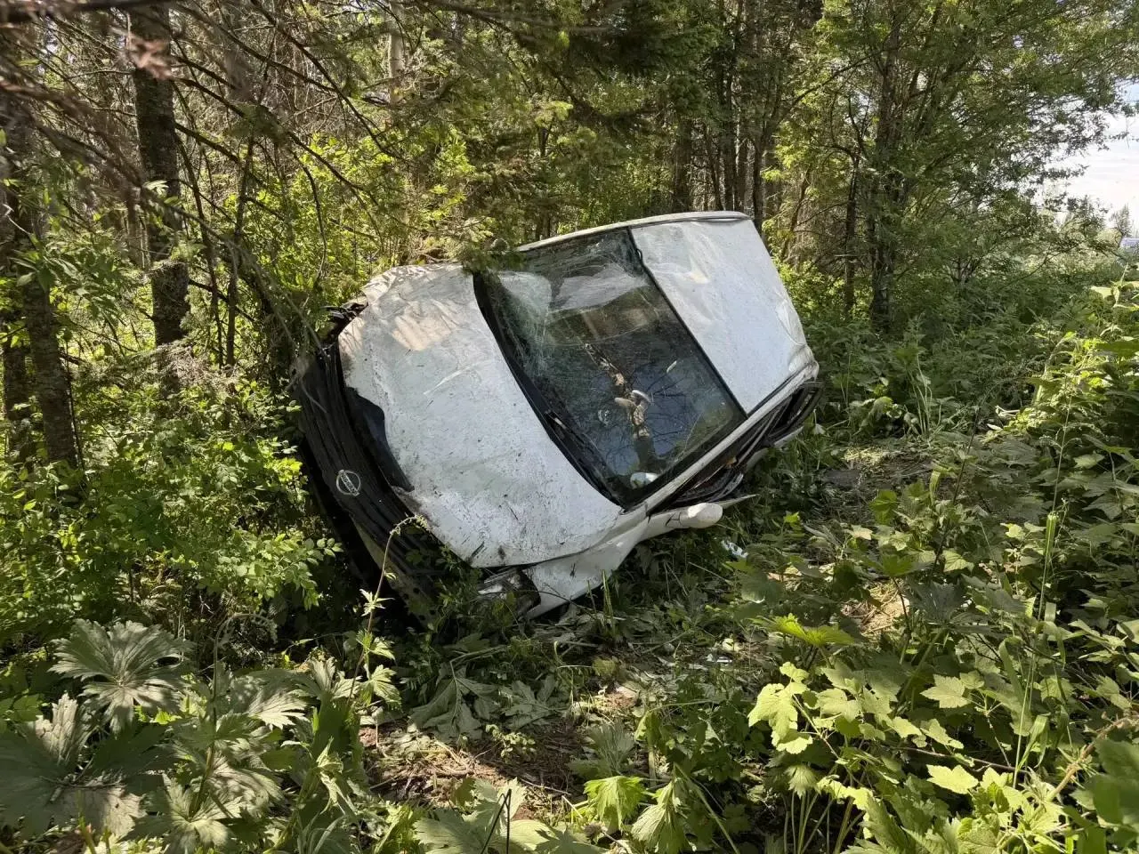Автомобиль съехал в кювет на 104 км трассы Р-257: водительница погибла, трое детей доставлены в больницу с травмами.