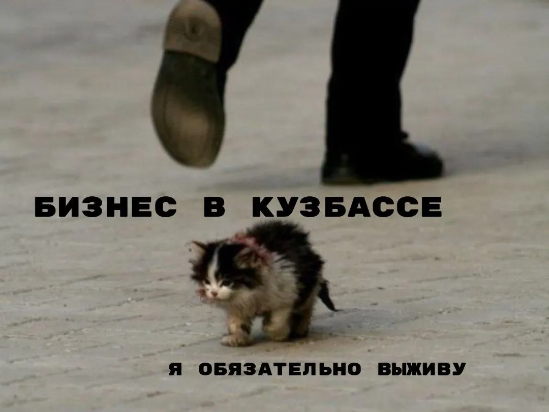 Экономист считает, что недавно анонсированная мера для переезжающих предпринимателей едва ли существенно увеличит доходы региона: НДФЛ приносит лишь около 4% бюджета, тогда как налог на прибыль упал на 41%.