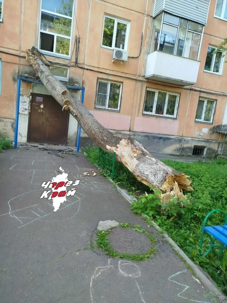 Упавшее дерево задело дом №4а на улице Коммунальная и повредило козырёк третьего подъезда. Жители отмечают, что вырубают здоровые деревья, тогда как аварийные остаются.