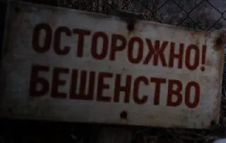 В селе Пинигино выявили животное, заражённое бешенством. В населённом пункте установили карантин на два месяца; несколько дней назад в регионе снимали карантин в шести территориях.