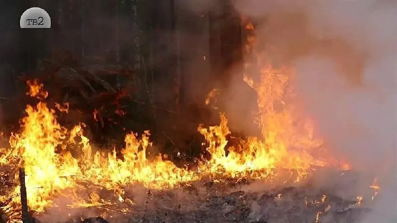 В регионе из‑за аномальной жары и сухости увеличилось число лесных возгораний. Власти объявили повышенную готовность и планируют использовать формирование дождевых облаков для помощи в тушении.