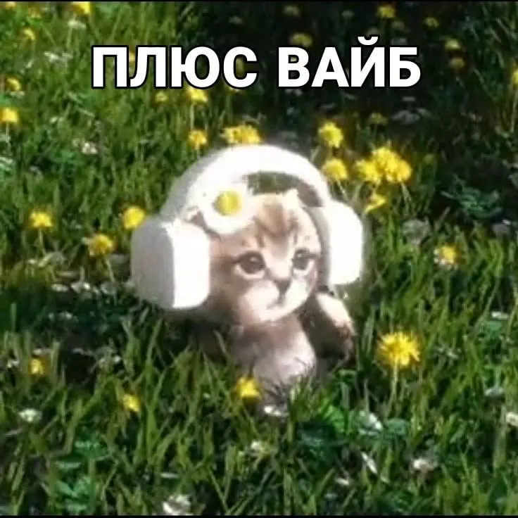 Регион переместился с 58-го на 54-е место: индекс вырос с 38,8 до 43,07 балла. По темпам роста Забайкалье вошло в число лидеров страны.