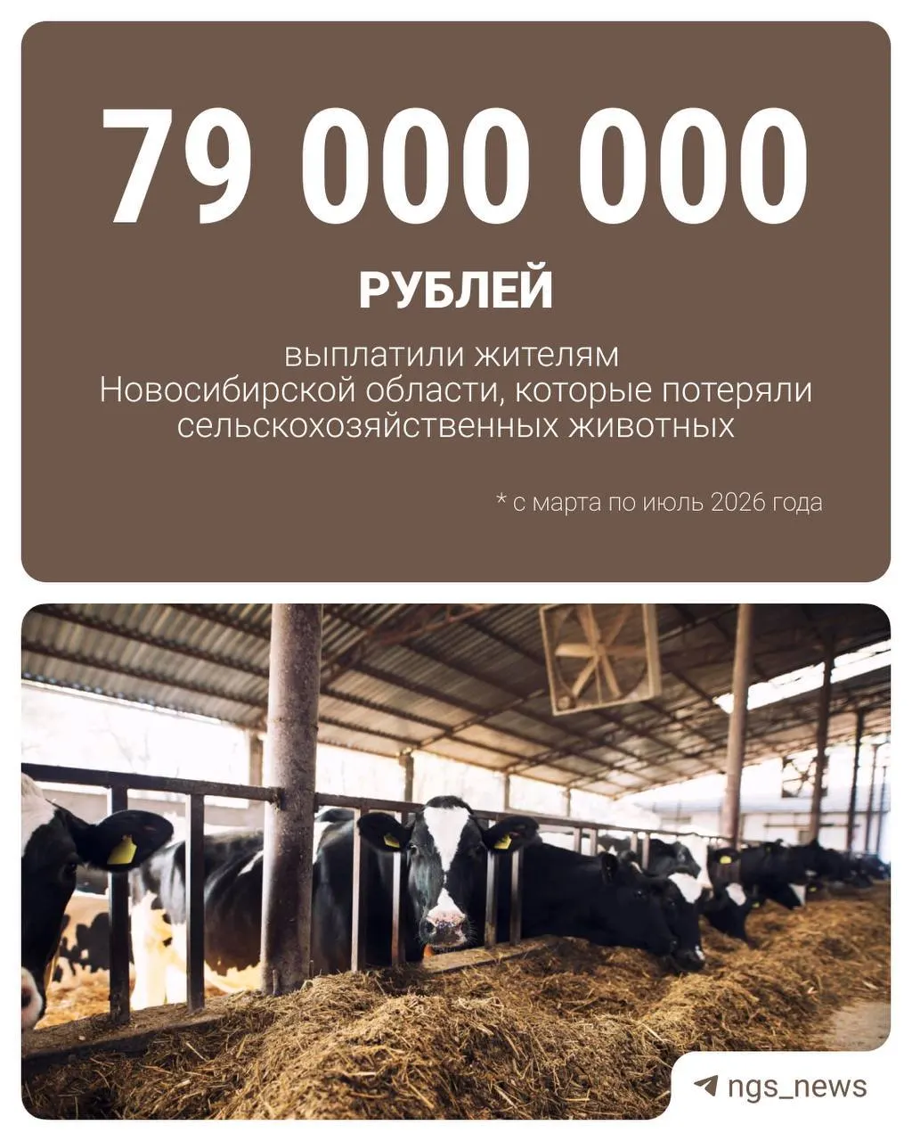Владельцы хозяйств в регионе смогут получить возмещение половины затрат на покупку нового поголовья и ежемесячную соцвыплату; выплату уже получили 274 человека.