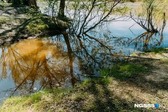 11 июля в районе СНТ «Дружба» при купании погиб 40-летний мужчина. Правоохранительные органы устанавливают обстоятельства происшествия, поиски тела продолжаются.
