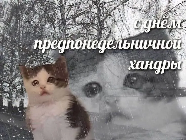 Синоптики предупреждают о дождях почти каждый день и колебаниях температуры от +14°C до +26°C; к выходным возможное потепление и прояснения.