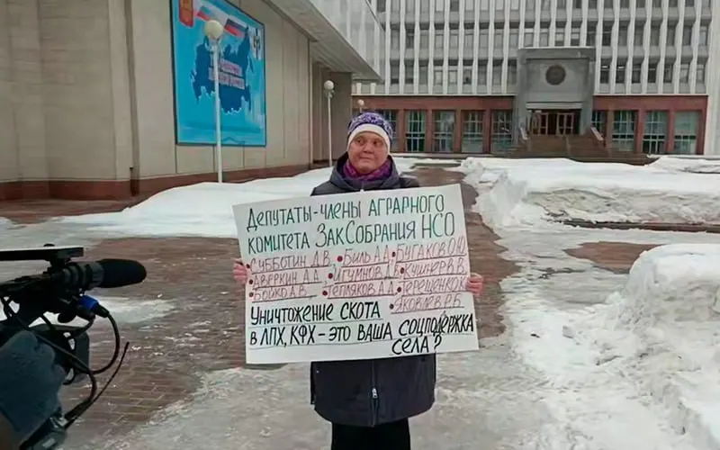 Супруг жительницы Купинского района объявлен в розыск в рамках уголовного дела о поджоге; семья считает обвинения сфабрикованными на фоне массового уничтожения скота в регионе.