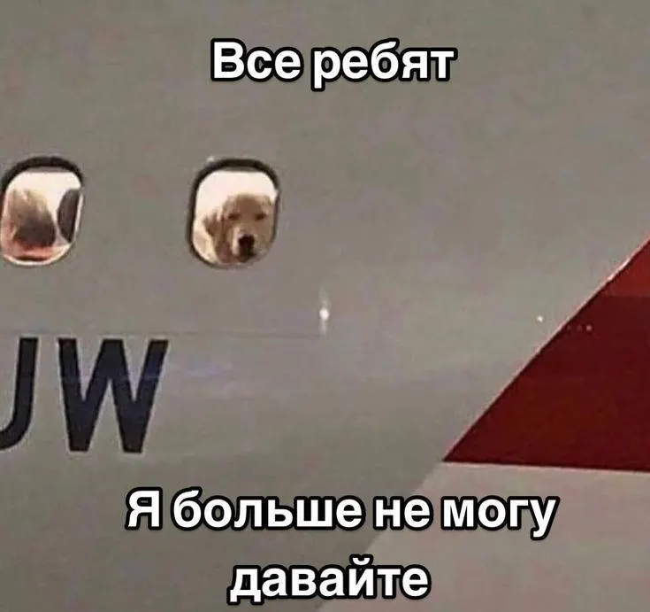 Авиакомпания S7 увеличит число рейсов из иркутского аэропорта в Красноярск, Владивосток, Братск, Екатеринбург и Петропавловск-Камчатский — с указанных дат начнут действовать новые расписания.