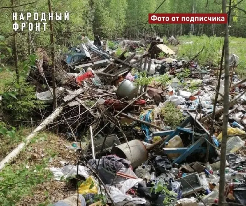В&nbsp;Каргасокском районе медведей привлекают несанкционированные свалки