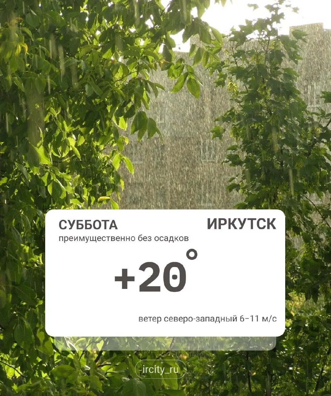 Переменная облачность, местами кратковременные дожди; в Катангском и южных районах возможны ливни. В горах южного Прибайкалья ожидаются сильные ливни и грозы. Температура от +7 до +12 °C.