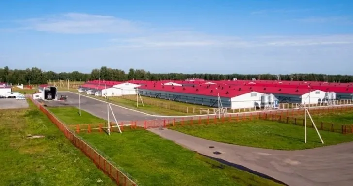 Крупный свиноводческий комплекс подал в арбитраж иск на 608 млн руб. за ущерб после изъятия и уничтожения поголовья при карантине из‑за пастереллёза; дело приостановлено из‑за неоплаченной госпошлины.