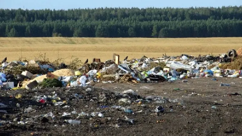 В Алтайском крае из‑за нехватки водителей региональный оператор не успевает вывозить отходы — власти объявили режим повышенной готовности и приглашают сторонние организации для вывоза мусора.