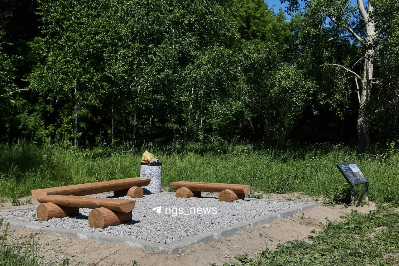 Между парком «Арена» и «Бугринской рощей» появились несколько бетонных площадок с скамейками — каждая обошлась бюджету примерно в миллион. Архитекторы отмечают, что таких элементов не было в проекте; власти называют их временными.