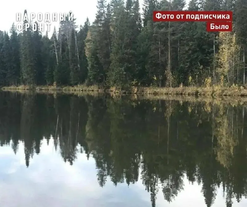 В поселке Мирный Томской области после прорыва дамбы осушился искусственный водоем Каличниково (Новое). Общественные активисты просят провести проверку, установить виновных и обязать восстановить гидротехническое сооружение.