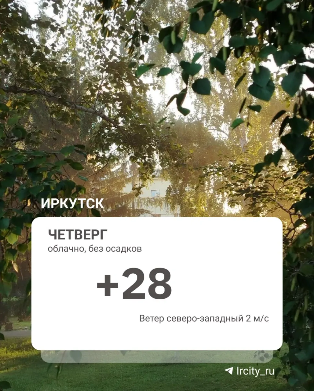 В Иркутске переменная облачность и небольшой дождь. По области ожидаются кратковременные дожди, в западных районах — ливни. Ночью при прояснении до +12, днём до +30; при облачной погоде — до +22.
