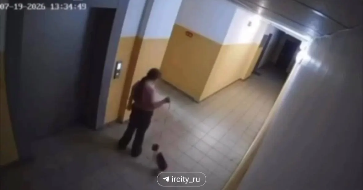 Камера в подъезде микрорайона Угольщиков зафиксировала, как девушка поднимает кошку на поводке и бьёт её о стену; устанавливают личность и обстоятельства инцидента.