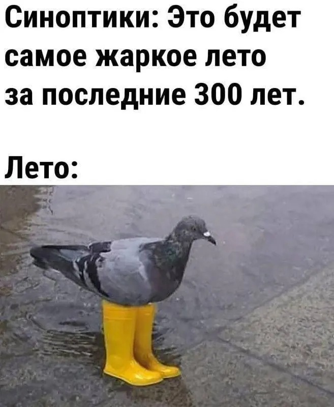 В ночь на 18 июля в Иркутске ожидается до +13°С, днем в субботу — +24…+26°С. В воскресенье — дожди и грозы. По области прогнозируют ливни, грозы и усиление ветра, температура +22…+27°С.