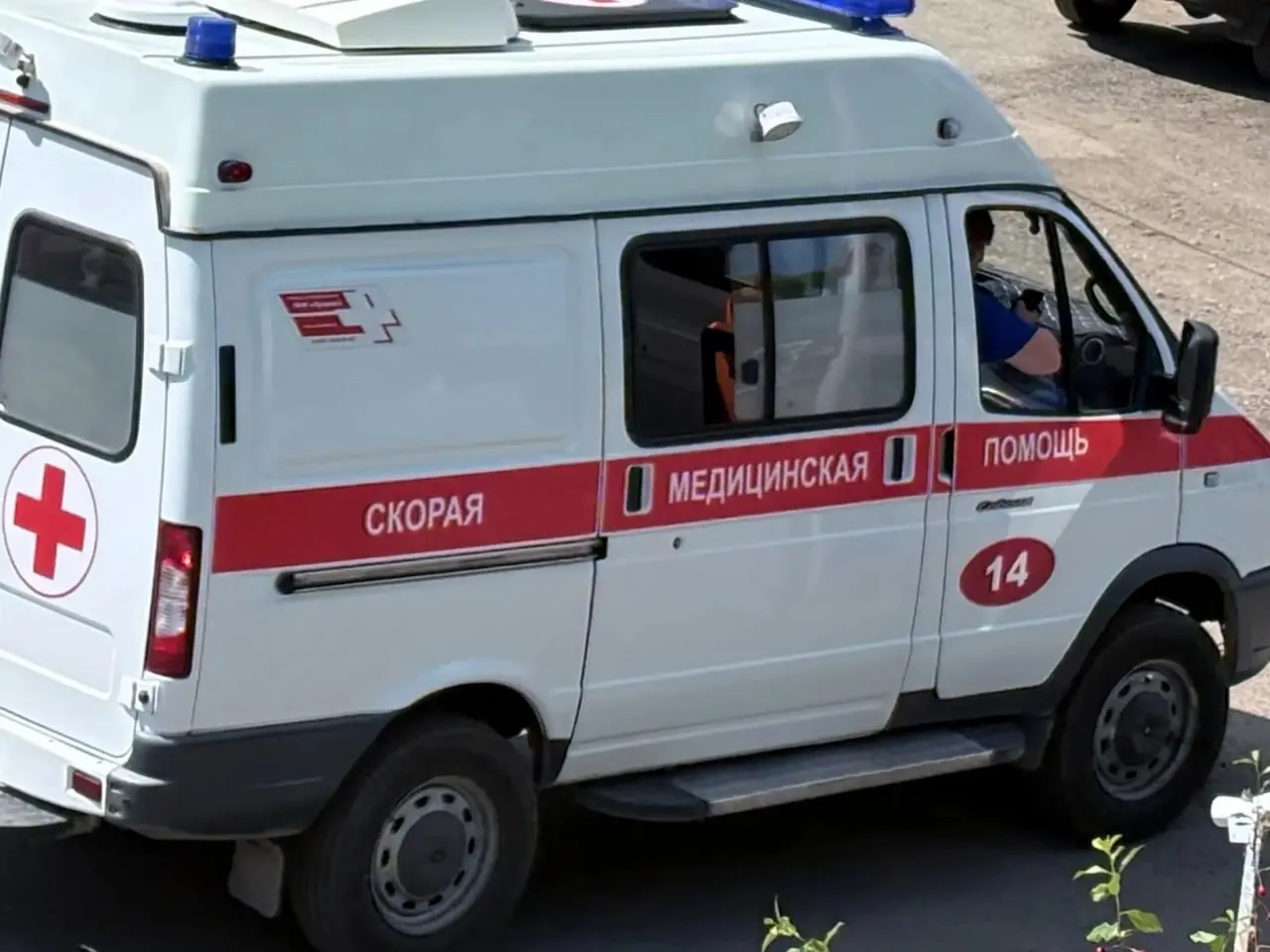 Ребёнок попробовал незнакомую ягоду во дворе, у него началась аллергическая реакция — медики промыли желудок и доставили мальчика в детскую больницу в состоянии средней тяжести.