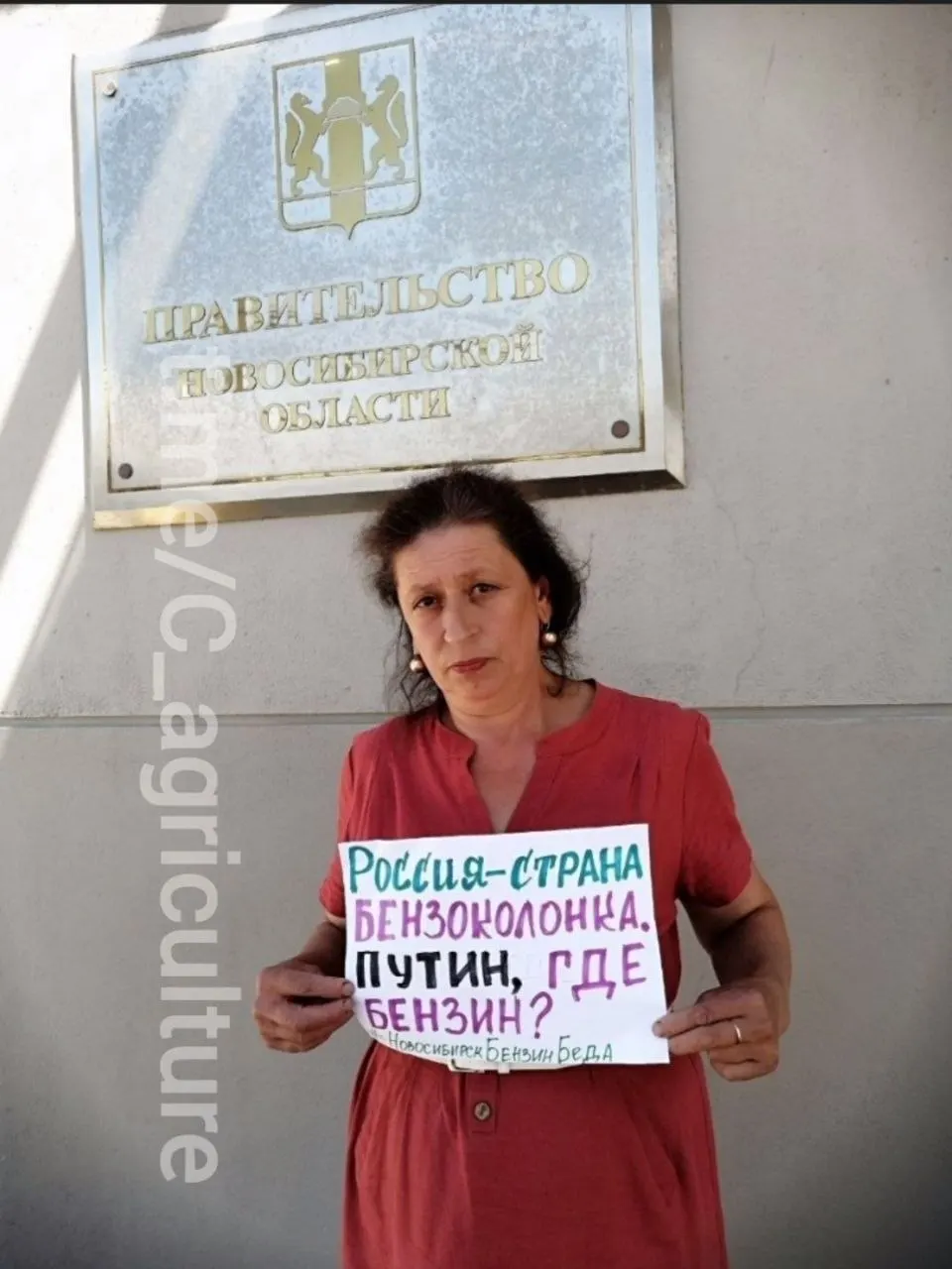 У здания правительства Новосибирской области местная жительница вышла в одиночный пикет с плакатом, жалующимся на нехватку и проблемы с поставками автомобильного топлива.