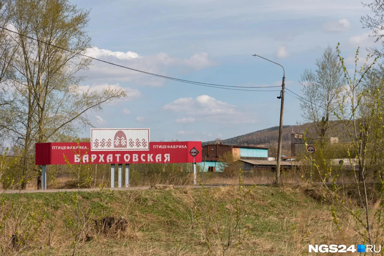 Карантин введён после подтверждения ньюкаслской болезни в одном корпусе: запрещены продажа и ввоз птицы и яиц, доступ посторонних и выпуск птиц до 1 сентября.