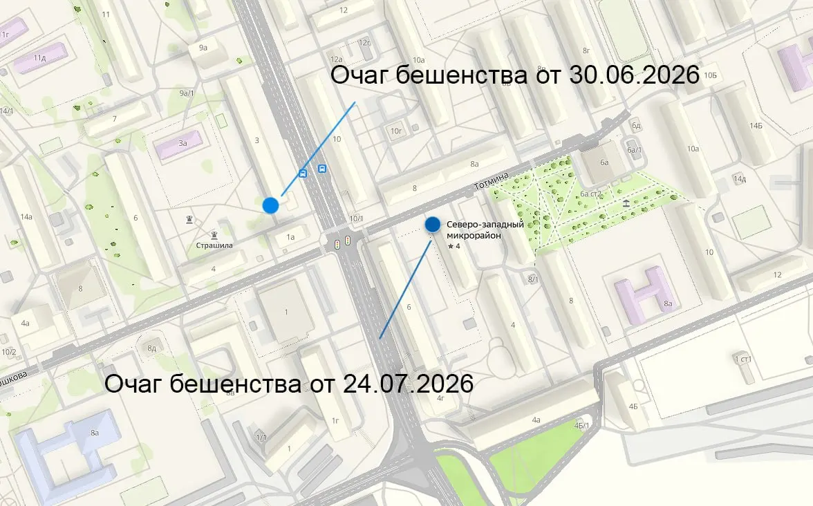 В Красноярске вновь объявлен карантин по бешенству: новый очаг в Северо-Западном районе у дома на улице Карбышева расположен в непосредственной близости от предыдущего, радиус зоны увеличен до 1 км, ограничения действуют до 19 сентября.