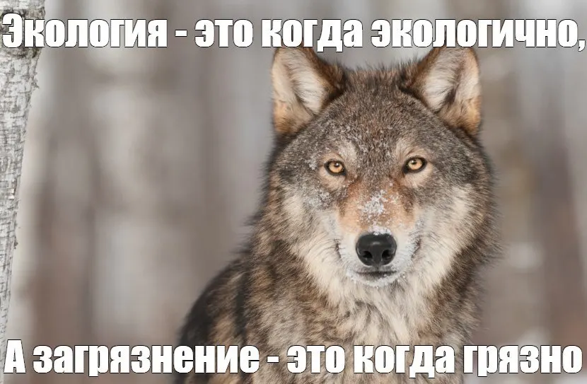 Власти Кемерова планируют потратить около 100 млн рублей на улучшение воздуха. Однако с 2020 года выбросы в городе снизились лишь на 1,2 тыс. тонн — примерно 1,5%.