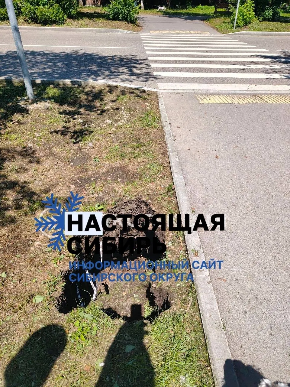 После дождей у жилого дома на Трилиссера образовалась просадка земли: участок опустился и асфальт может обрушиться. Жители просят обследовать место и принять меры.