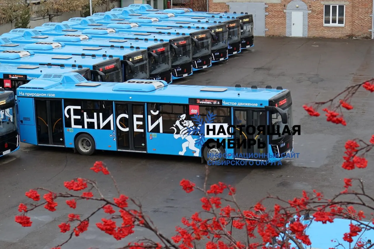 Правительство Красноярского края внесло поправки, которыми предлагают увеличить штрафы для взрослых и детей на фоне перехода на бескондукторную систему оплаты в общественном транспорте.