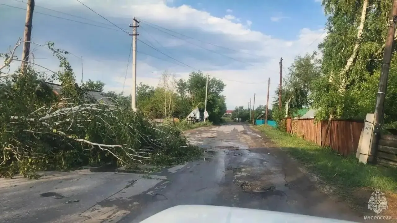 Сильный ураган прошёл по Краснощёковскому району: в Краснощёково сорваны крыши, разбиты окна, повалены деревья и повреждён урожай. В регионе остаются массовые отключения электроэнергии.