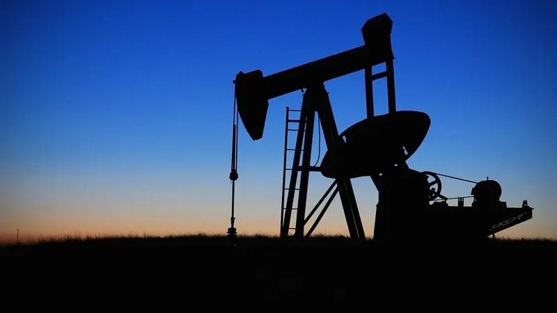 Роман Яковлев (КПРФ) заявил, что региону необходим современный нефтеперерабатывающий завод в государственной собственности и возобновление разведочных работ на севере области, чтобы обеспечить топливом жителей Сибири и сдерживать рост цен.
